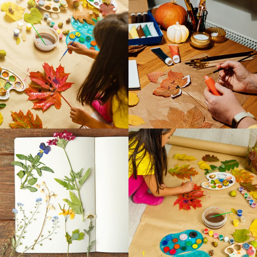 ECOHOME Flower Press Kit for Kids - Complete DIY Pressed Flower Art Set with Clear Instructions - Perfect for Children's Crafts, Nature Projects & Unique Gifts - Great for Classroom Activities, Birthday Presents & Creative Play