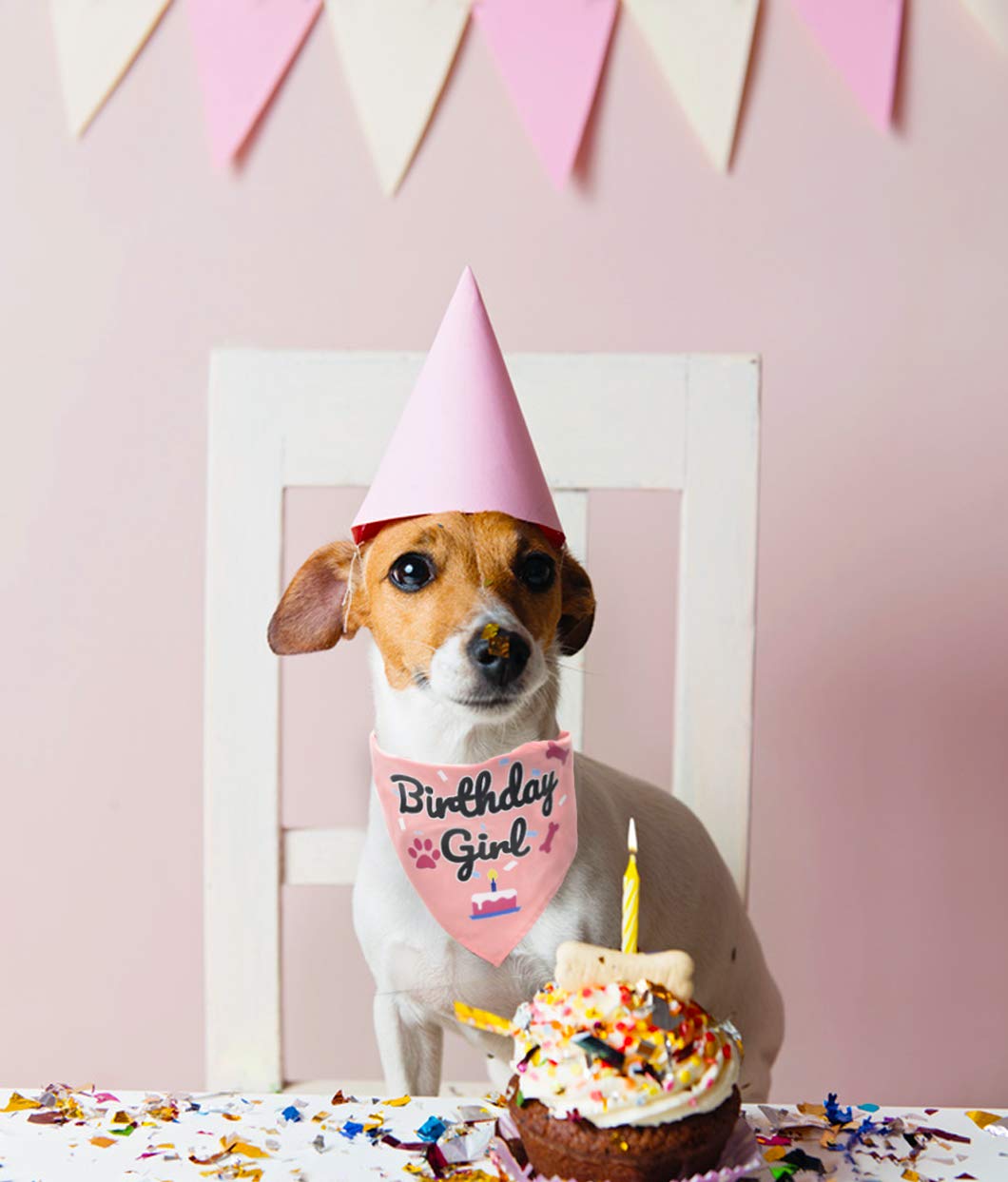 Bubblepup Dog Birthday Bandana for Boys & Girls - Cute Pet Birthday Accessory for Small & Large Dogs - Perfect for Birthday Parties, Photo Shoots & Special Occasions