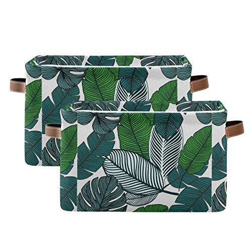 Tropical Leaves