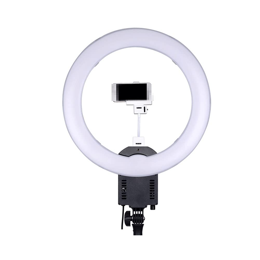 ROYAUX LED Ring Light with Phone Holder - 5400K Daylight Selfie Light for Photography, Makeup, Vlogging & Live Streaming - Compatible with Smartphones - Perfect for YouTube Videos, TikTok Content & Beauty Tutorials