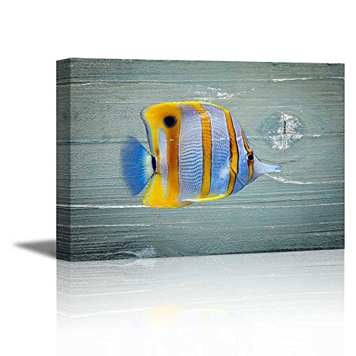 Fish - 03