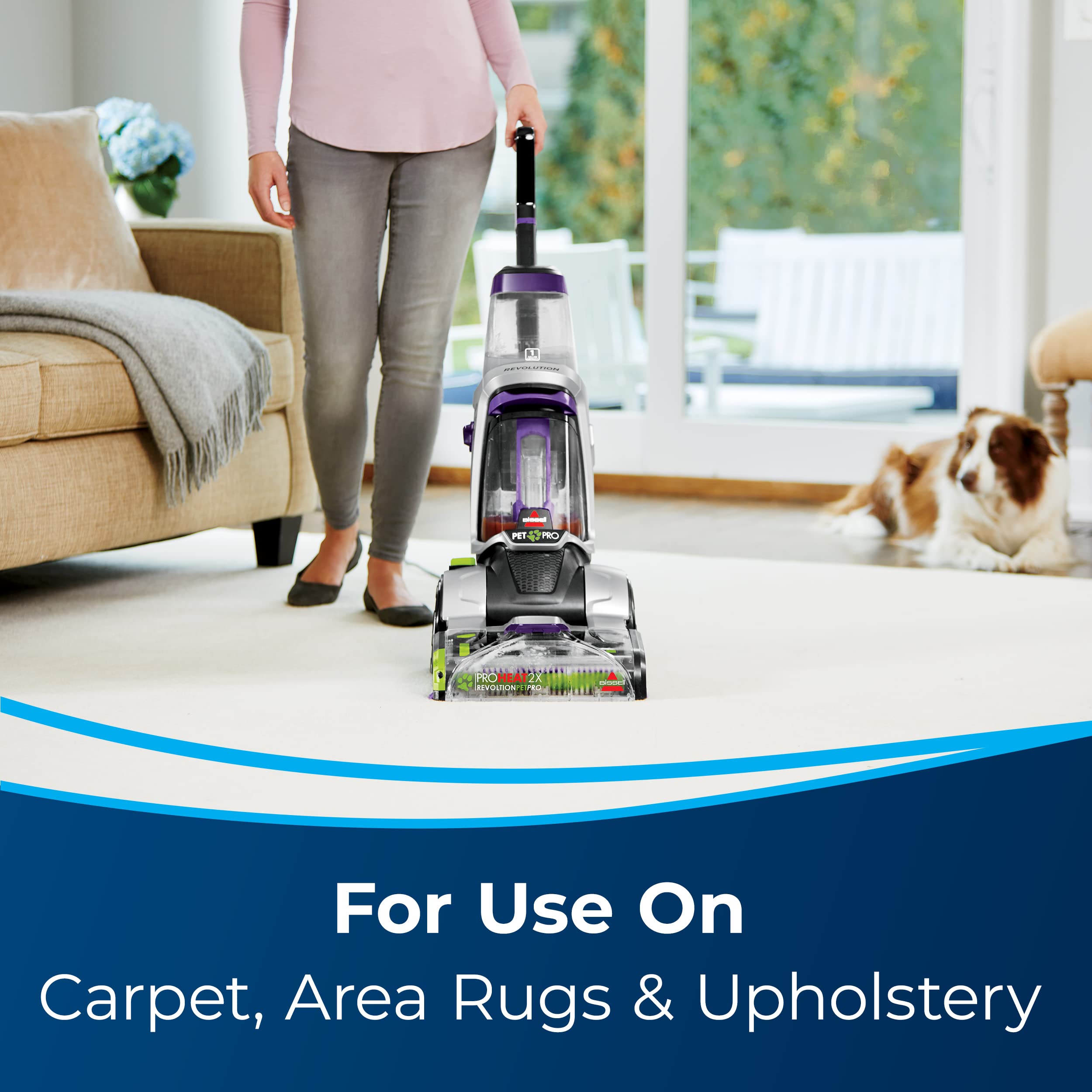Bissell Pro OXY Deep Clean Formula 48 oz (3156) - Powerful Carpet & Upholstery Stain Remover for Pets, Kids & High-Traffic Areas