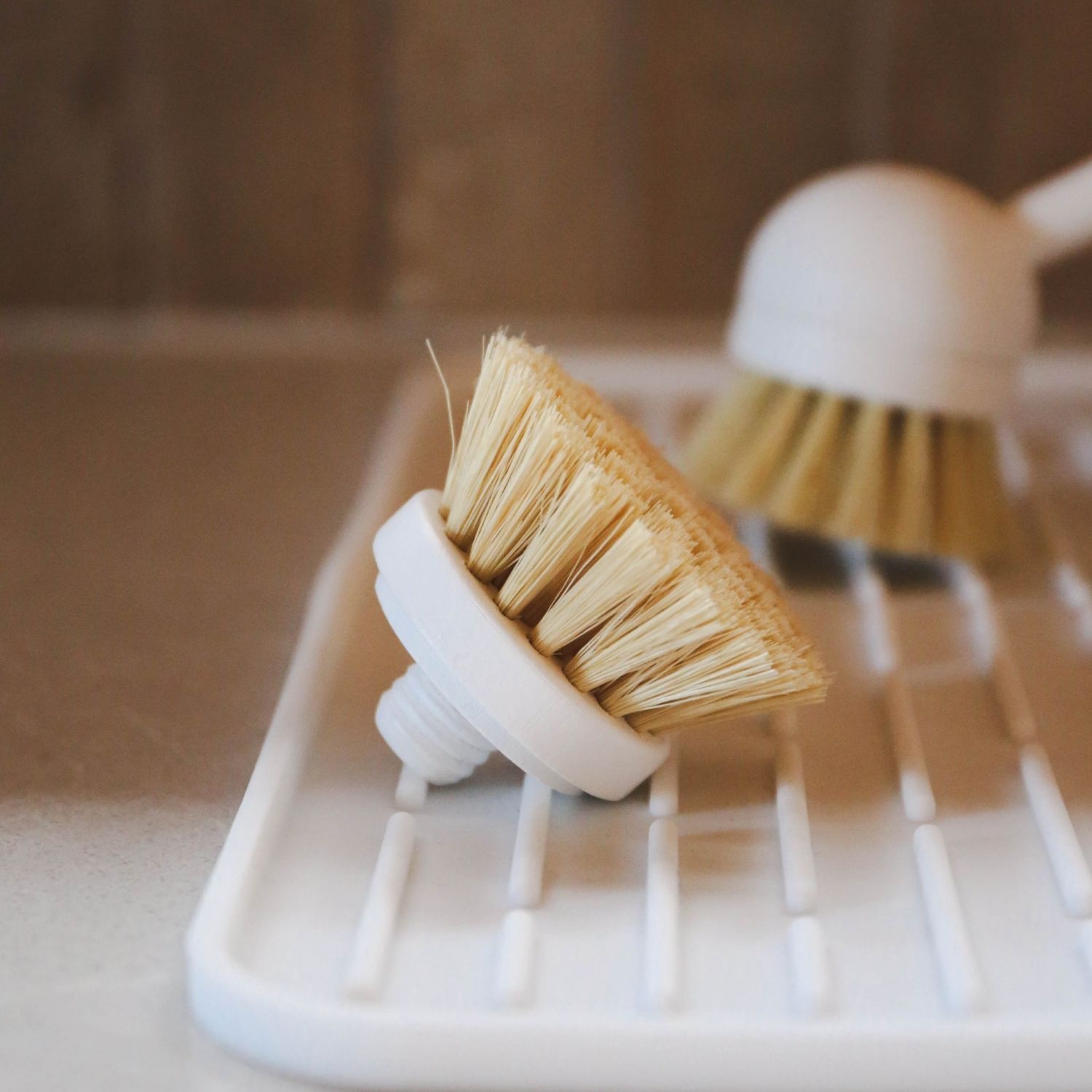 Eco-Friendly Dish Brush Replacement Heads - Set of 2, White | Sustainable Kitchen Cleaning Brush Heads for Dishwashing & Household Cleaning