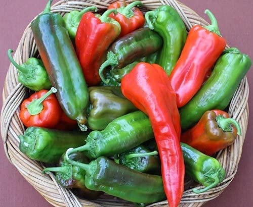 Premium Senise Heirloom Pepper Seeds - 100pcs/Packet - Non-GMO, Heirloom Italian Chili Peppers for Cooking, Gardening & Homegrown Spices