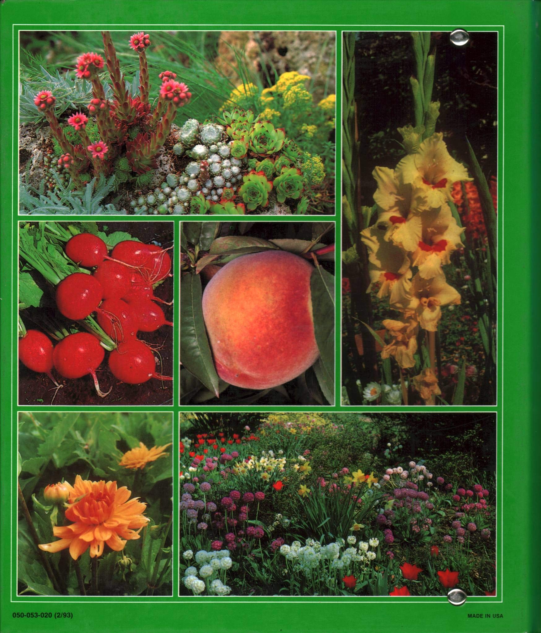 Successful Gardening: Complete Step-by-Step Gardening Handbook (4 Volumes, 16 Categories) - Perfect for Home Gardeners, Beginners & Landscaping Projects