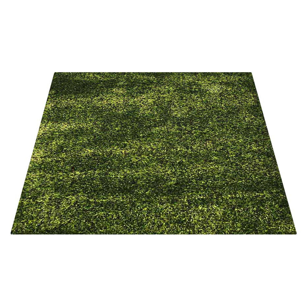 Luxury Shag Hand Tufted Area Rug - Soft Fluffy Plush Carpet for Living Room, Bedroom, Nursery - Cozy Home Decor for Winter Comfort