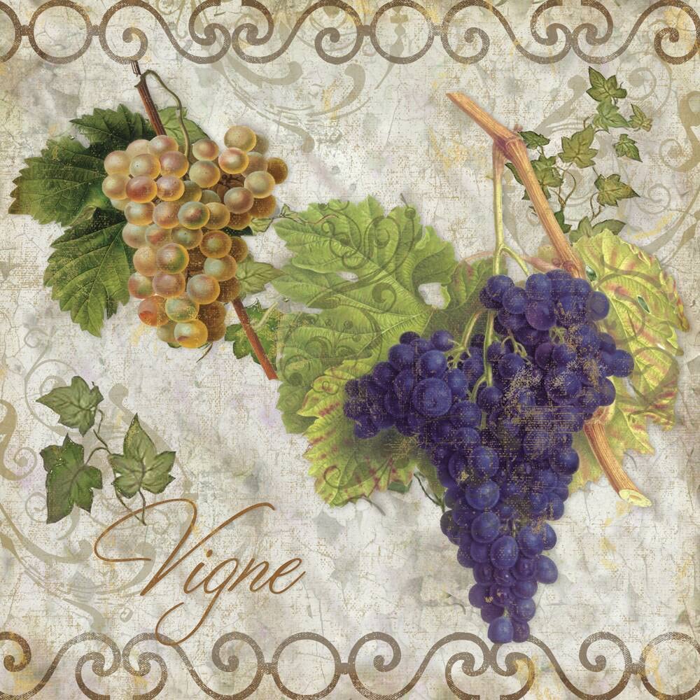 Color Bakery Pastoral Fruits II Accent Tile - Handmade Ceramic Wall & Floor Tile for Kitchen Backsplash, Bathroom, and Fireplace Decor