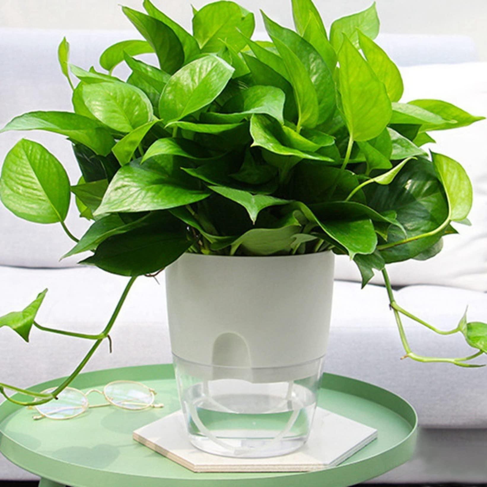 2 Layer Self Watering Plant Pots with Cotton Rope - Round Flower Pots for Indoor Plants, Succulents, Herbs - Automatic Watering System for Home, Office Desk, Balcony Garden Decor