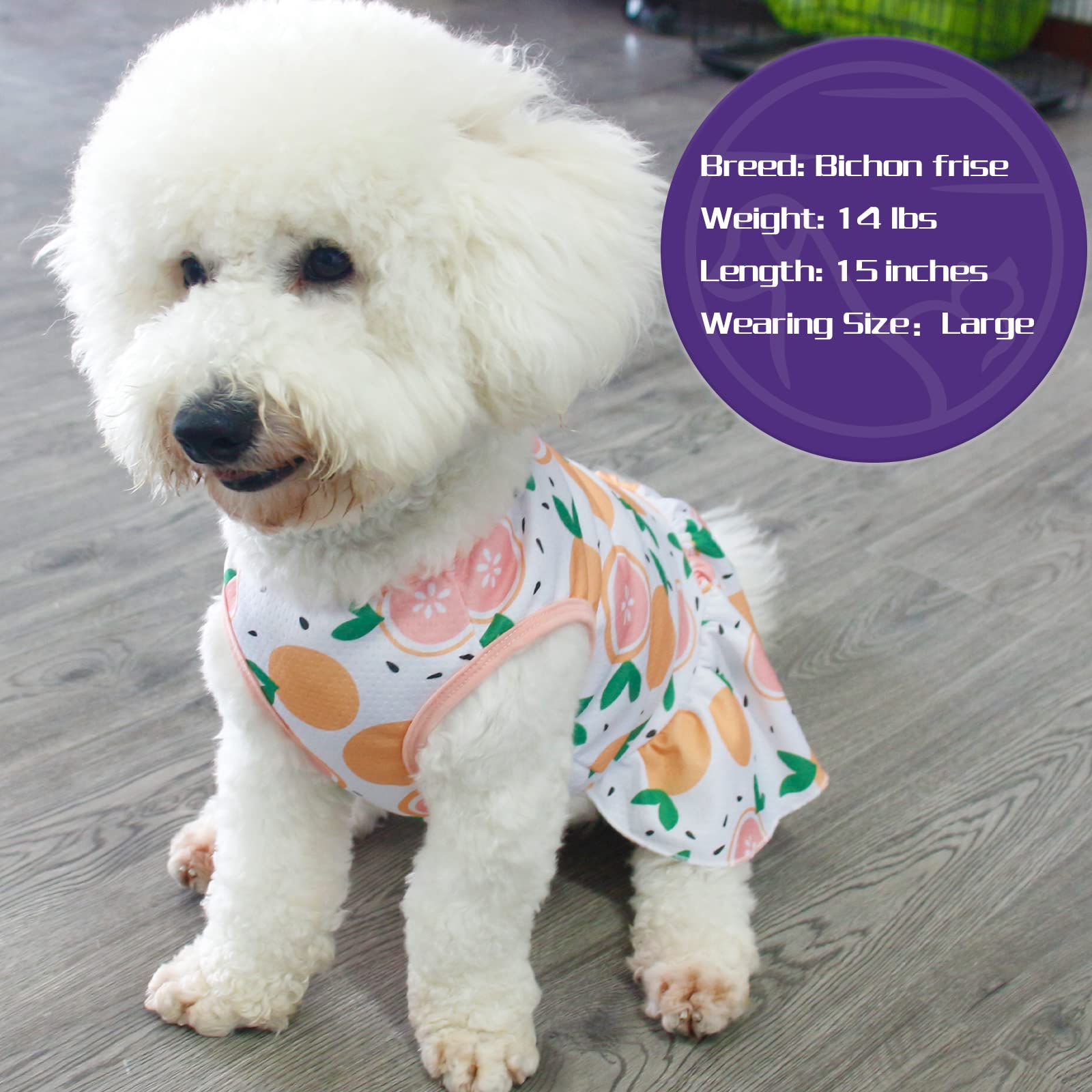 Cute Fruit Print Dog Dress - Soft & Breathable Puppy Skirt for Small Dogs, XS Size - Perfect for Parties, Photos & Daily Wear