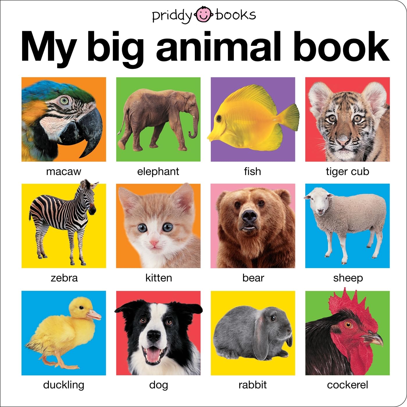 My Big Animal Book - Educational Wildlife Picture Book for Kids | Perfect for Learning, Storytime & Classroom Activities