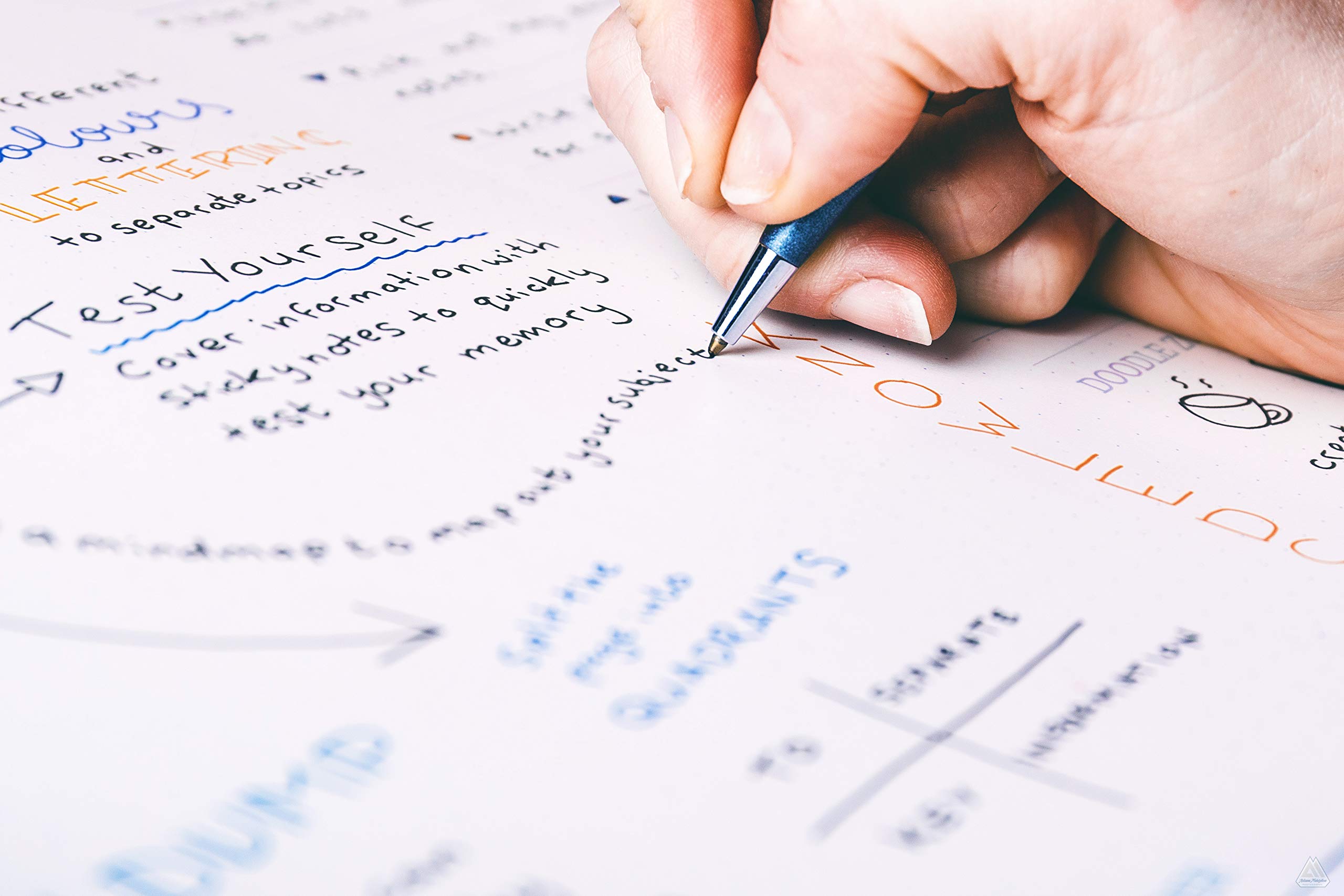 Luxpad Revision and Study Desk Pad - 36 x 23cm Non-Slip Writing Mat for Office, School & Home - Perfect for Note Taking, Homework & Productivity