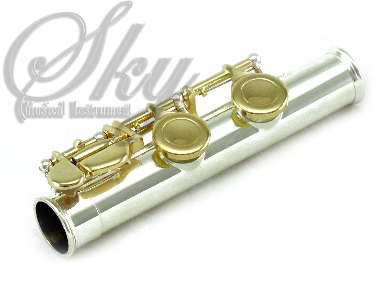 Professional Sky C Flute with Lightweight Case - Silver/Gold Open Hole Flute Set Includes Cleaning Rod, Cloth, Joint Grease & Screwdriver | Perfect for Beginners, Students & Performers | Band, Orchestra & Solo Practice