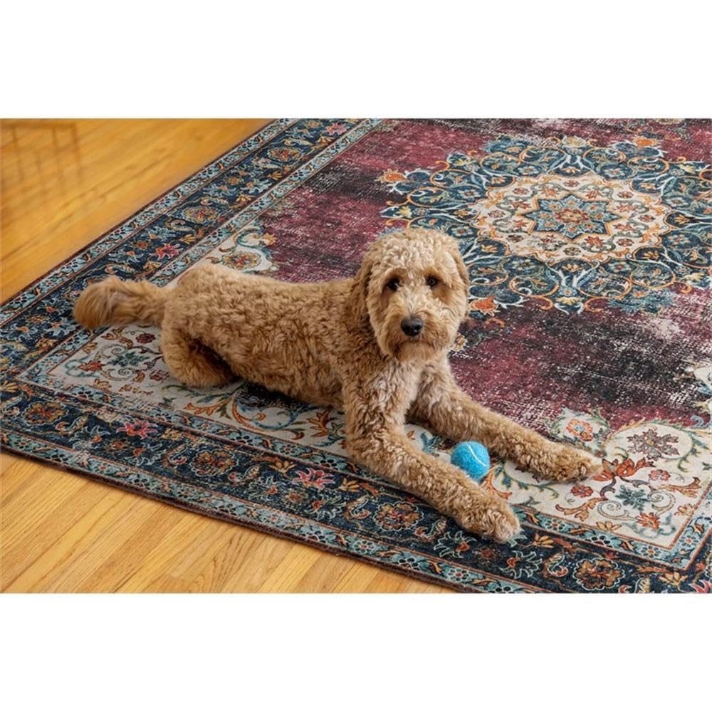 Linon Washable Adams Polyester 5'x7' Area Rug in Ivory - Soft & Durable for Living Room, Bedroom, or Office Decor