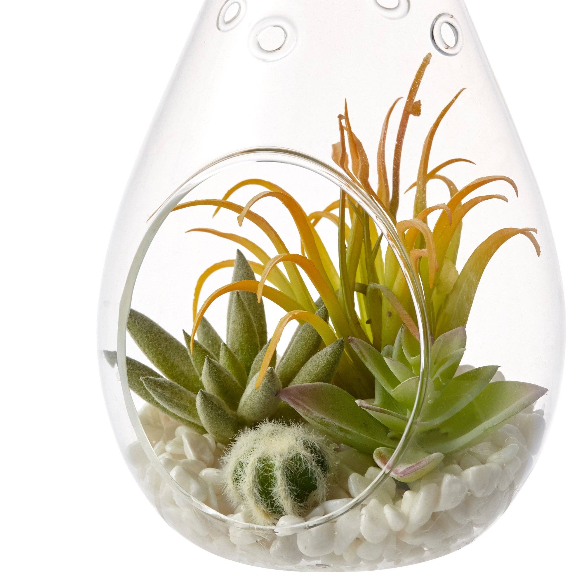 Stylish Caro Succulents Pot Drop - Modern Ceramic Planters for Succulents & Small Plants - Perfect for Home, Office, and Garden Decor