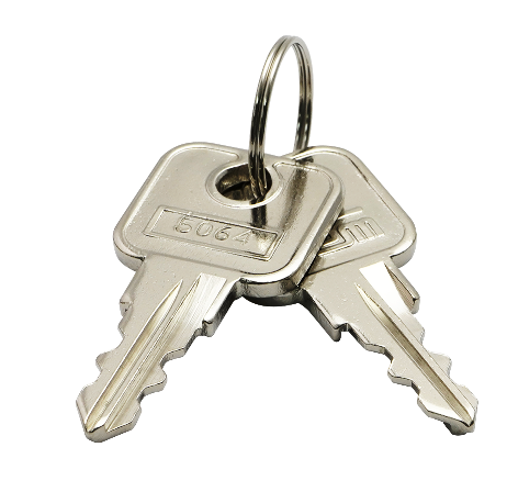 New Square Frame Door Keys for Lock Assembly - DKEY01 00 NRE #034769 | Replacement Keys for Home, Office & Commercial Security
