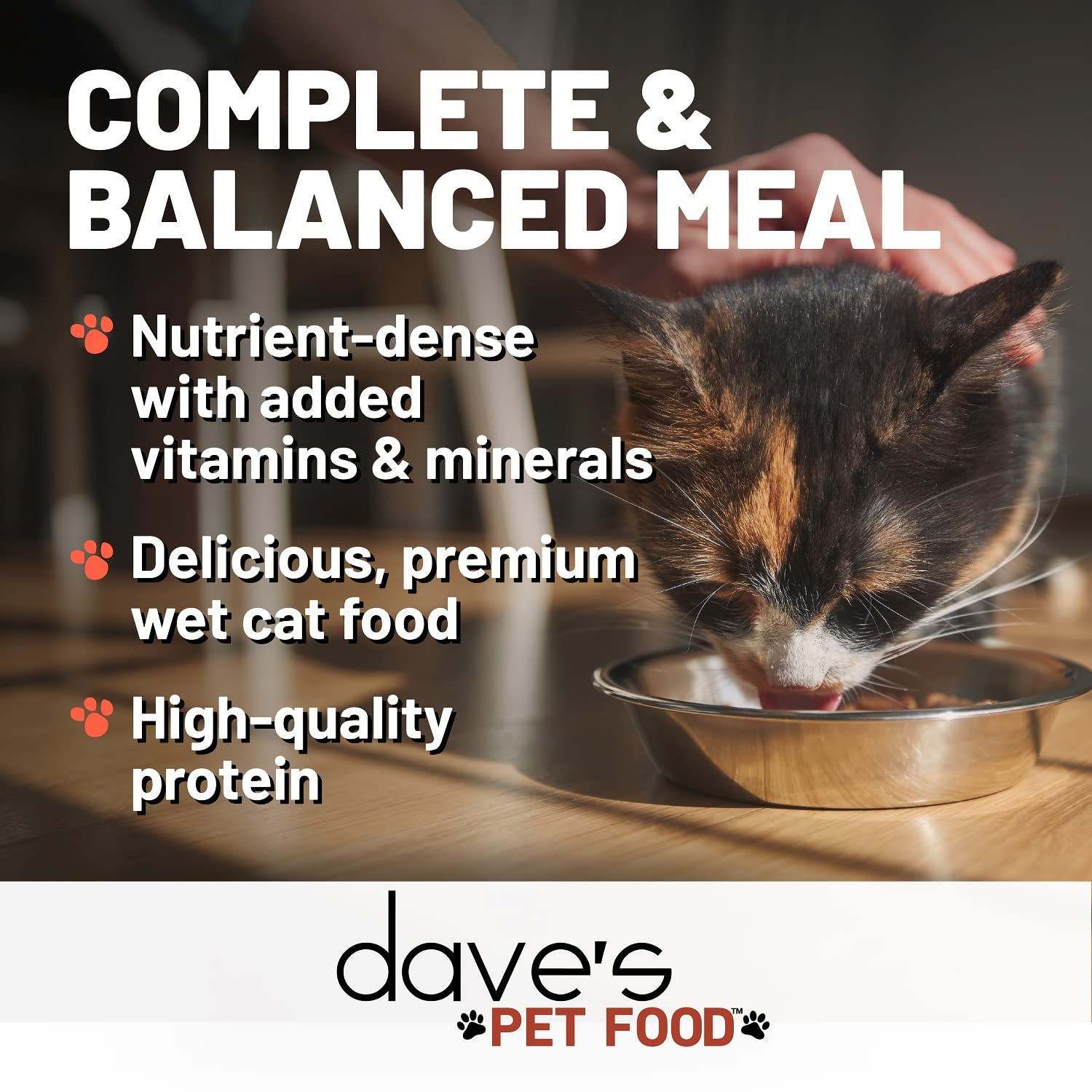 Dave's Pet Food Grain Free Wet Cat Food - Chicken & Whitefish Recipe, Natural Healthy Canned Cat Food for Adult Cats, 5.5 oz Cans (24 Pack) - Perfect for Daily Meals, Weight Management & Picky Eaters