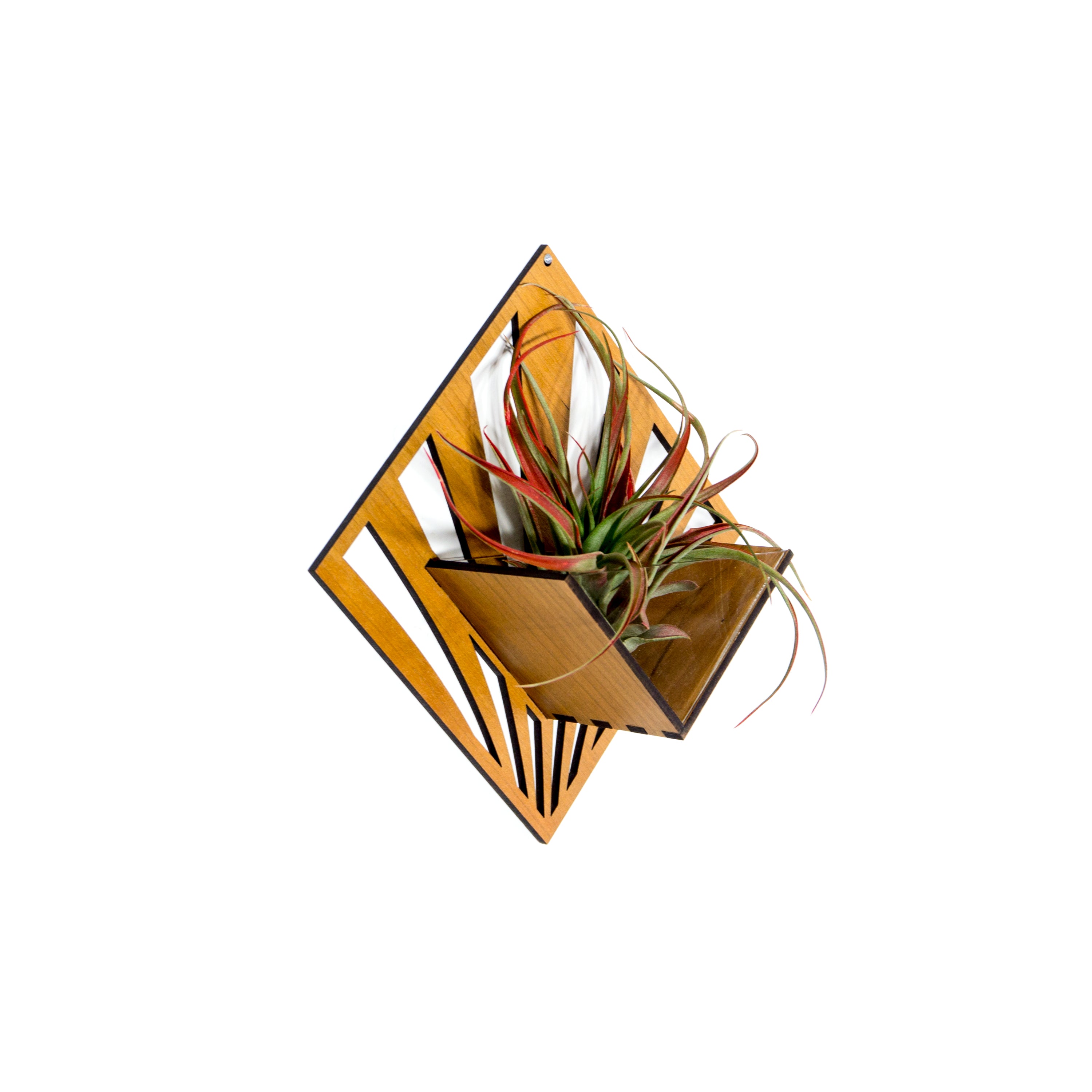 Handmade Wooden Quadrate Wall Planter Set of 2 - Air Plant Holder & Mounted Hanger Display for Tillandsia | Rustic Home Decor, Unique Plant Lover Gift Idea for Living Room, Bedroom or Office Decor
