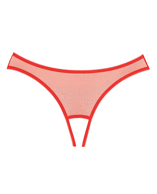 Sexy Red Lace Panties for Women - Adore Expose High Waist Thong Underwear - Perfect for Valentine's Day, Date Night & Special Occasions