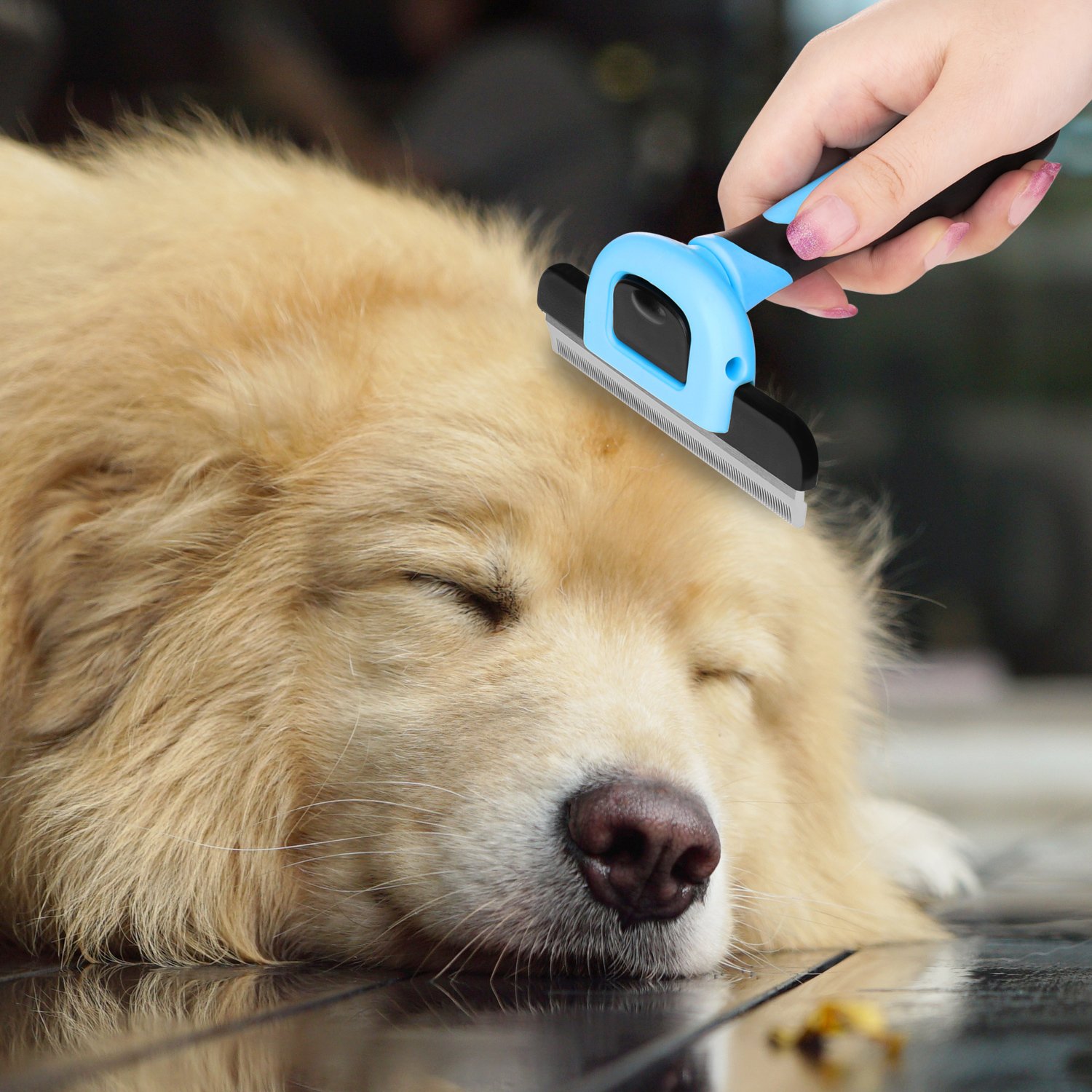 Premium Deshedding Brush for Cats & Dogs - Stainless Steel Pet Grooming Tool for Short & Long Hair, Safe for Small, Medium & Large Breeds - Perfect for Home Grooming & Shedding Control (Blue)