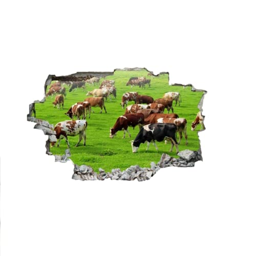 Cows