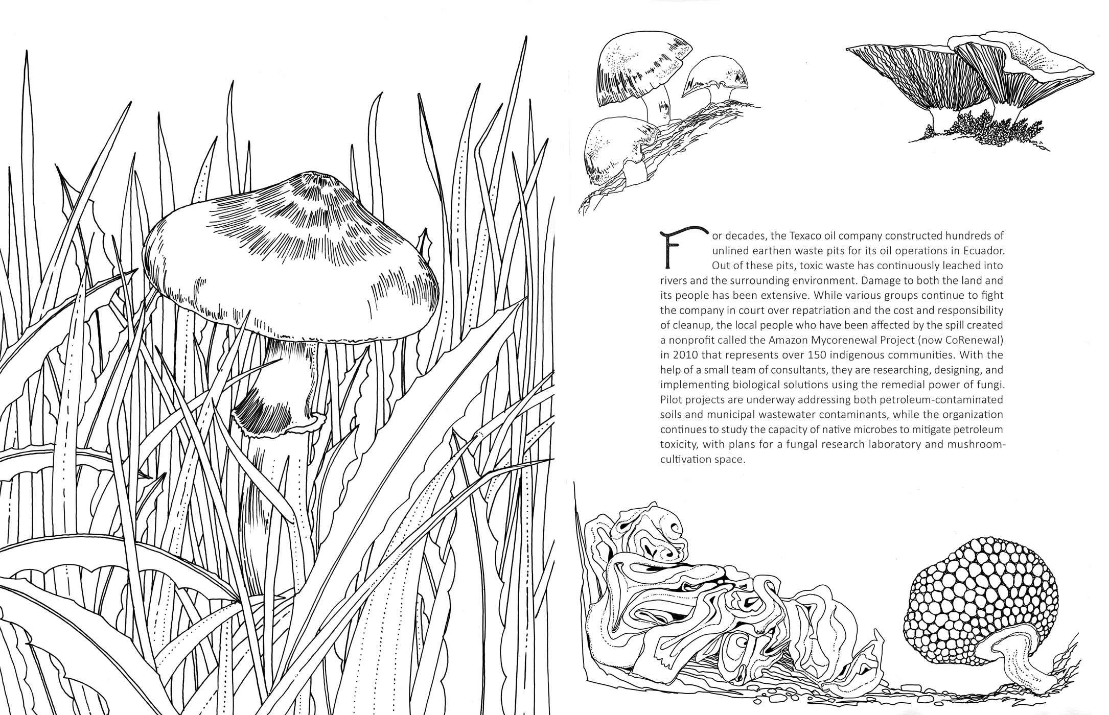 Fantastic Fungi Coloring Book for Adults - Relaxing & Stress Relief Mushroom Designs - Perfect for Meditation, Art Therapy & Nature Lovers
