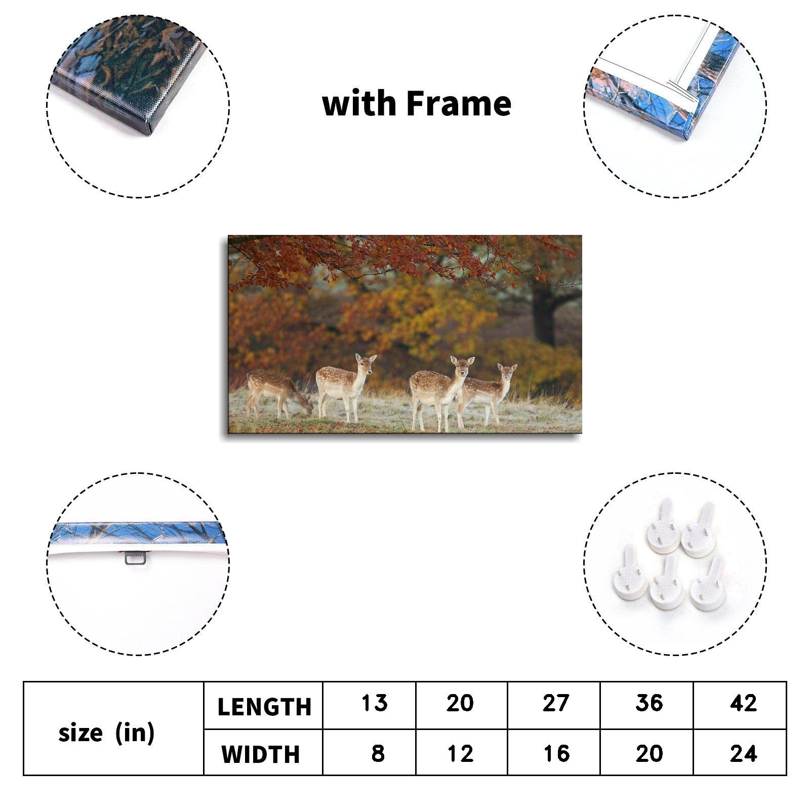 Deer Prints Canvas Wall Art - Sika Deer Photography Poster 36