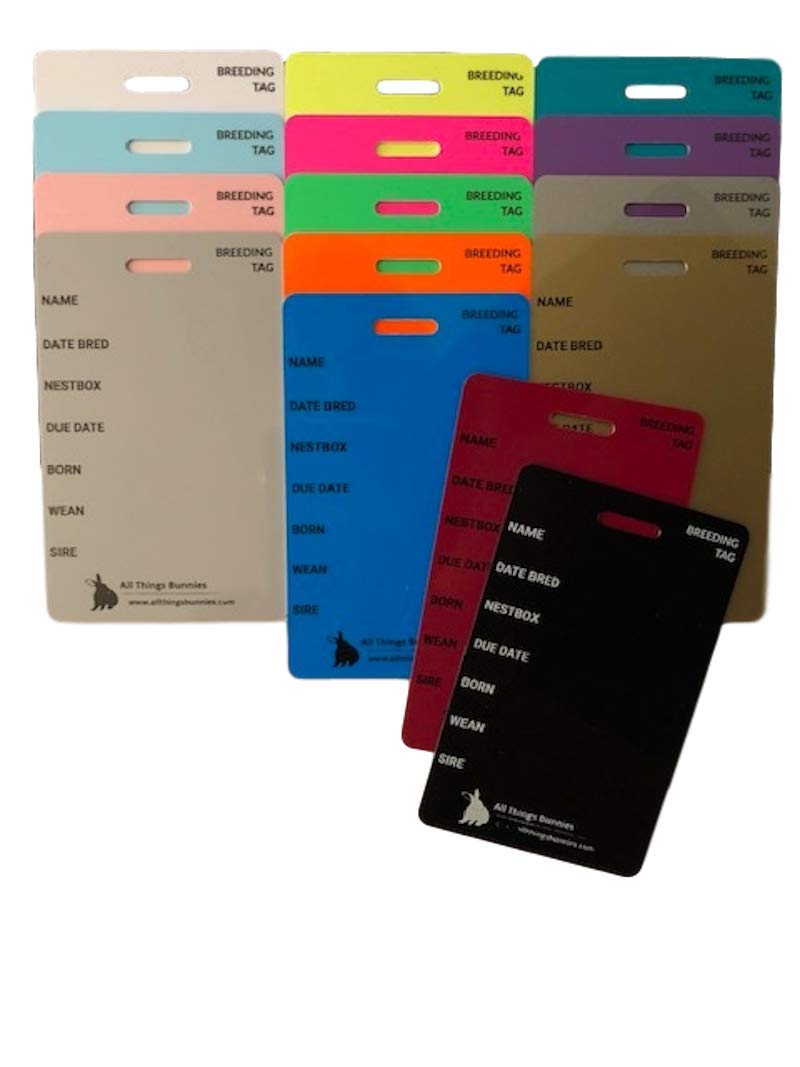 Premium Bunny Cage Cards for Rabbit Breeding - Teal Color | Ideal for Rabbit Shows, Pet Identification & Farm Organization