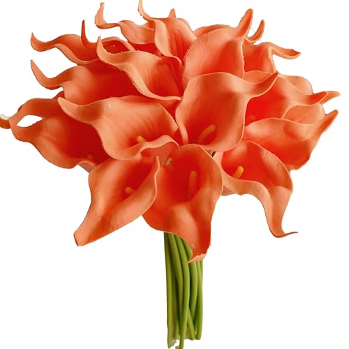 Coral-1