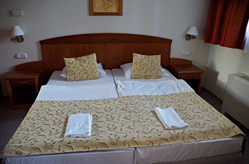 20x30 Inch Laminated Double Bed Poster - Vibrant Colors & High-Quality Print for Bedroom, Hotel Decor - Perfect for Framing & Wall Art | Home, Office, Dorm Room Decoration
