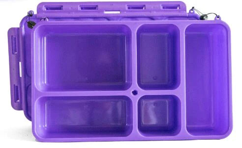 Eco-Friendly Reusable Lunch Box - Pink & Purple Bento Box for Women, Kids | Perfect for School, Work, Picnics & Sustainable Living