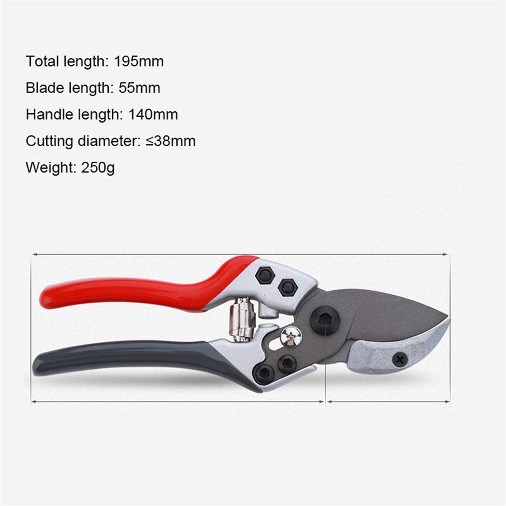 Premium Gardening Pruning Shears for Effortless Cutting - Heavy Duty Floral & Fruit Tree Branch Cutter - Perfect for Garden Trimming, Landscaping, and DIY Plant Care