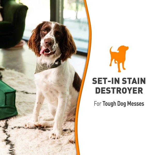 Nature's Miracle Oxy Formula Stain & Odor Destroyer for Dogs - Powerful Pet Urine & Mess Cleaner for Carpets, Floors & Furniture