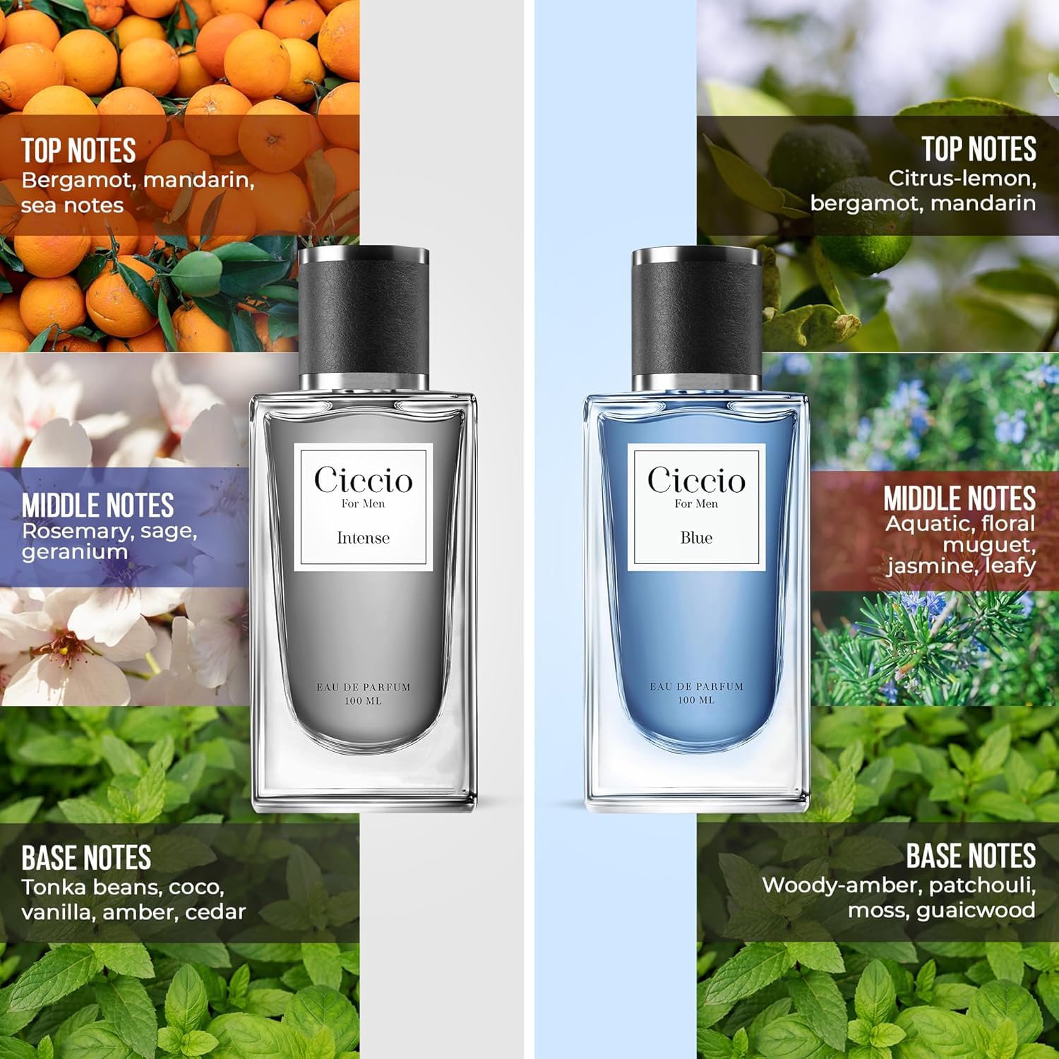 Chiccio Men's Eau De Parfum - Citrus Lemon, Bergamot & Mandarin Scent | Long Lasting Woody Aquatic Cologne | Summer Fragrance Gift Set (Pack of 2, 6.7oz) | Perfect for Daily Wear, Office & Date Nights