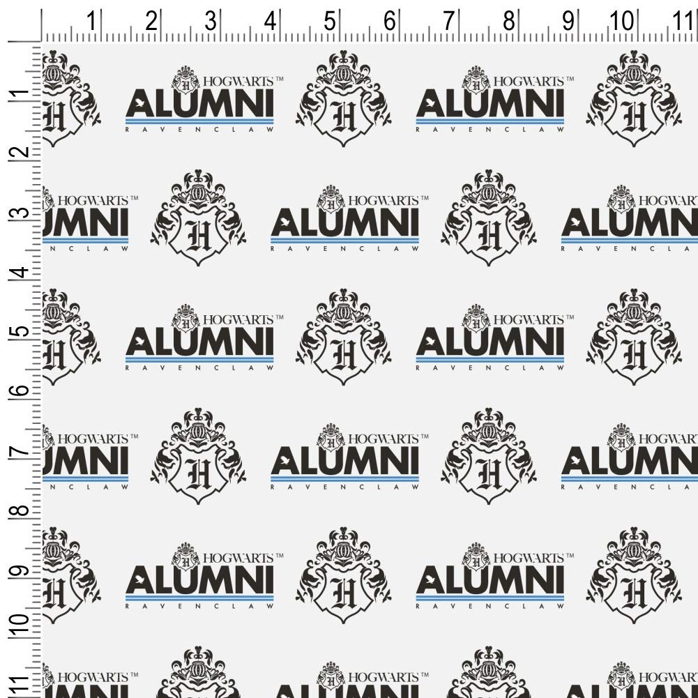 Harry Potter Ravenclaw Alumni Gift Wrap Wrapping Paper Rolls - Premium Quality, Blue & Bronze Themed, Perfect for Birthday Gifts, Christmas Presents & House Pride Decorations