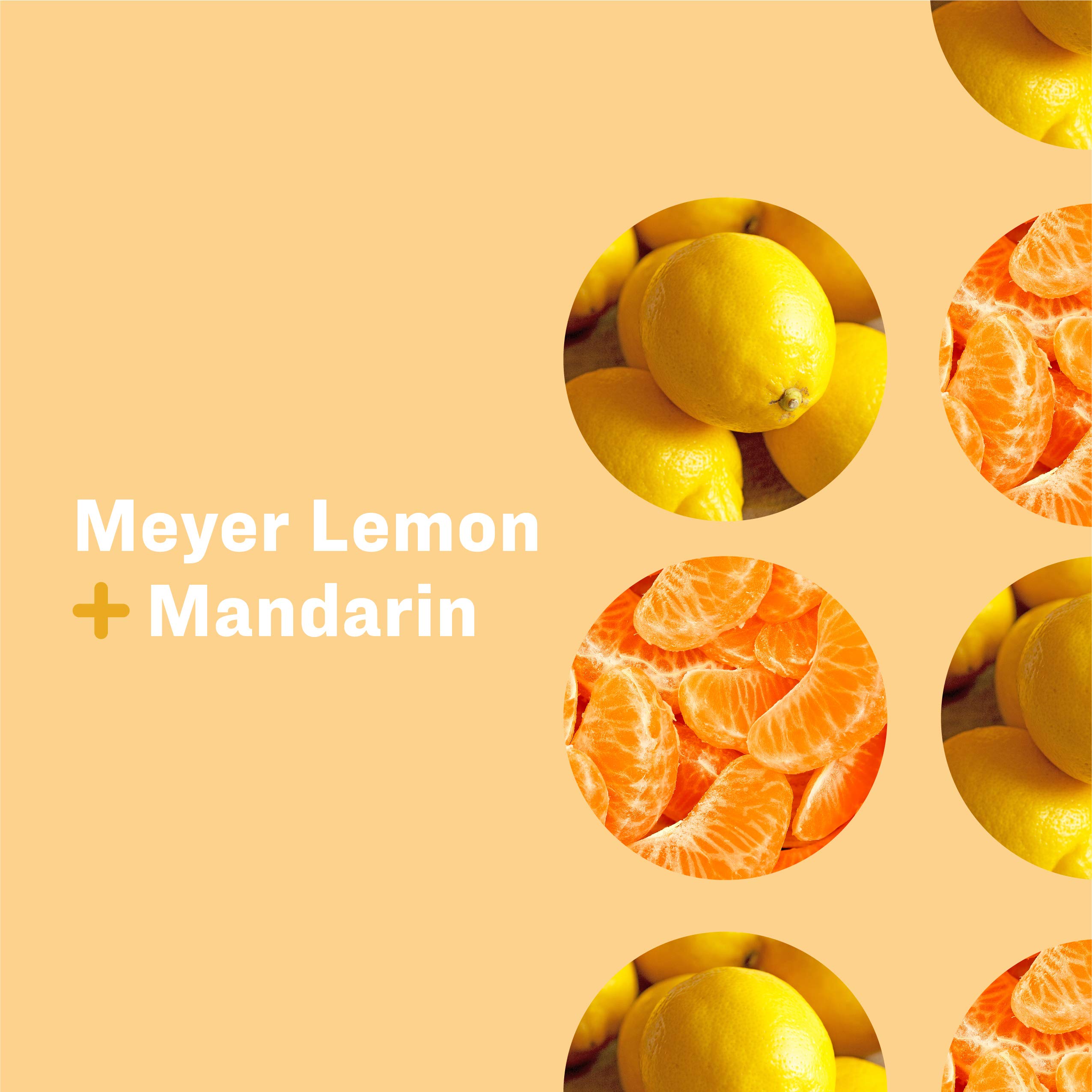 Meyer Lemon & Mandarin Hand Soap Refill - 32oz (6-Pack) | Plant-Based Cleanser with Pure Essential Oils | Gentle for Daily Use in Kitchens, Bathrooms & Offices
