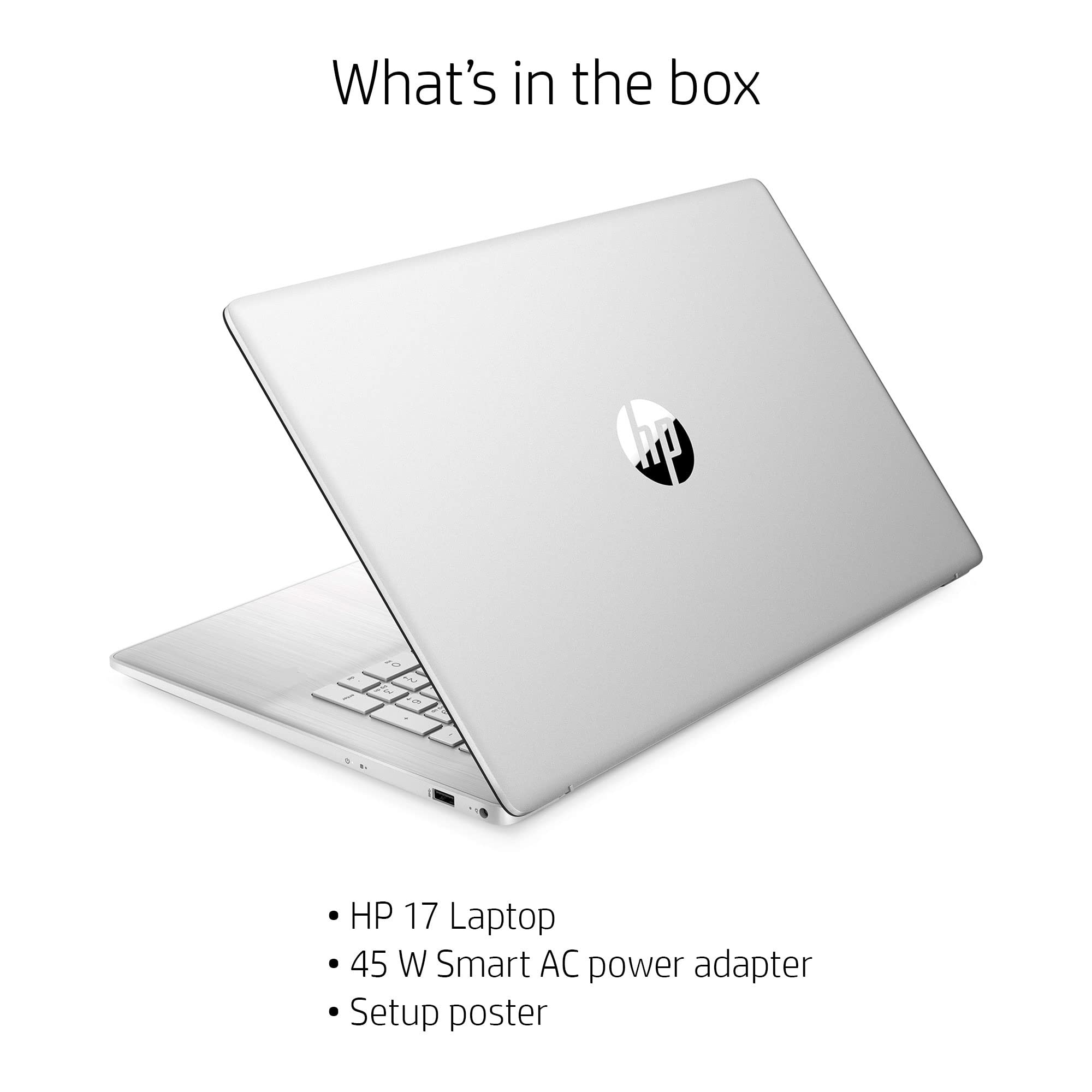 2024 HP High Performance Business Laptop - 17.3