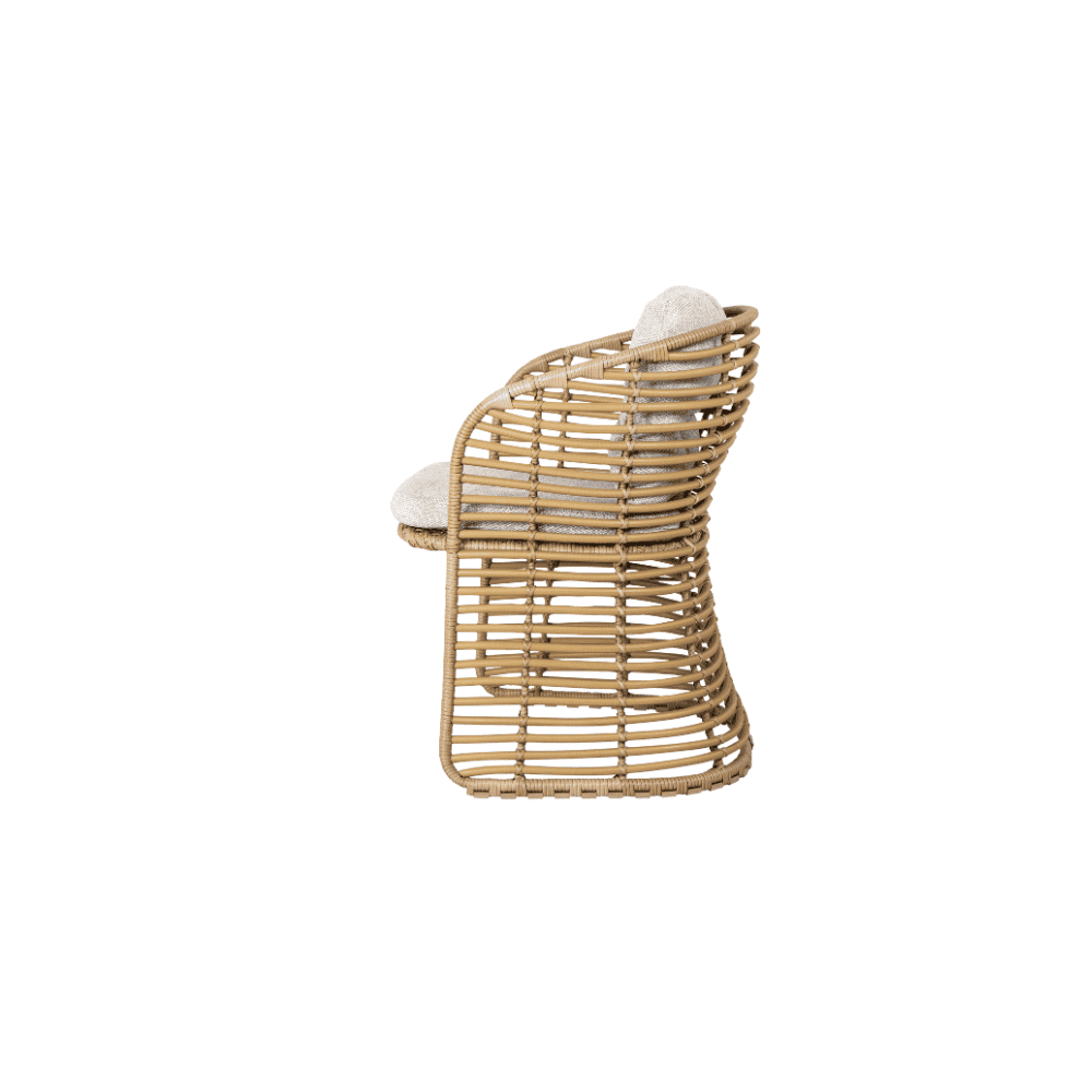 Outdoor Wicker Dining Chairs Set of 2 - Patio Furniture for Garden, Poolside, and Backyard - Weather-Resistant Rattan Chairs with Cushions