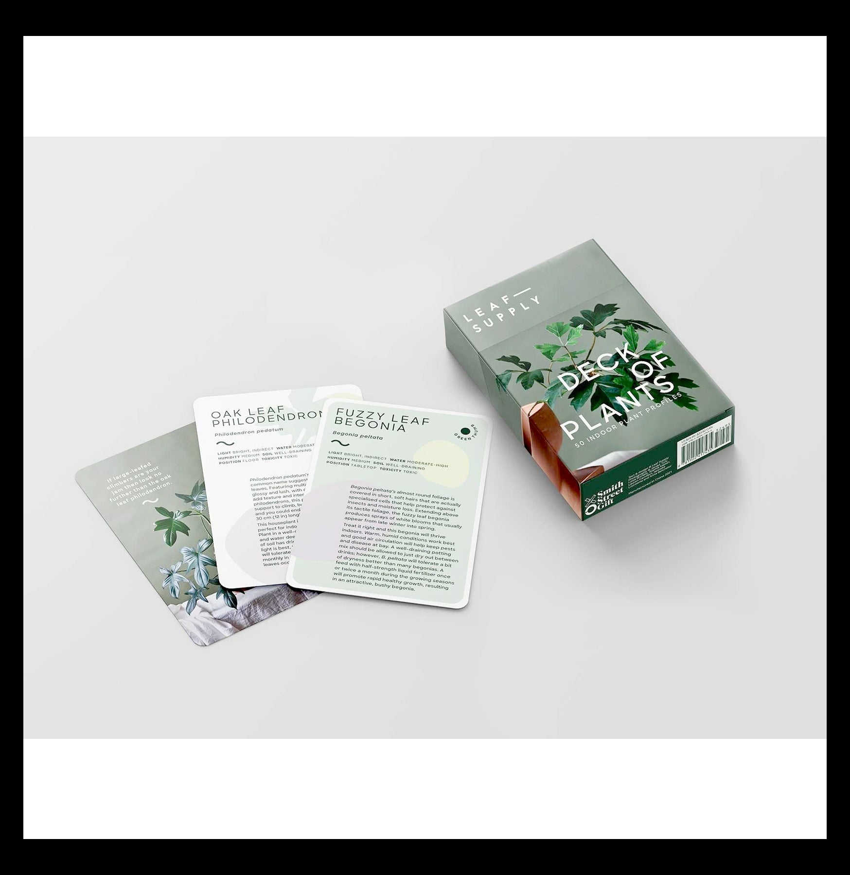 Leaf Supply Deck of Plants - 52 Unique Plant Care Cards for Indoor Gardening, Perfect for Plant Lovers & Home Decor | Ideal for Gifts, Housewarming & Plant Enthusiasts