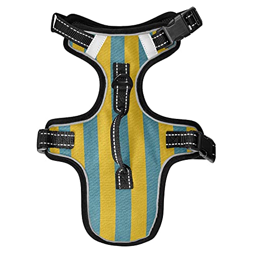 Yellow Blue Denim Stripes