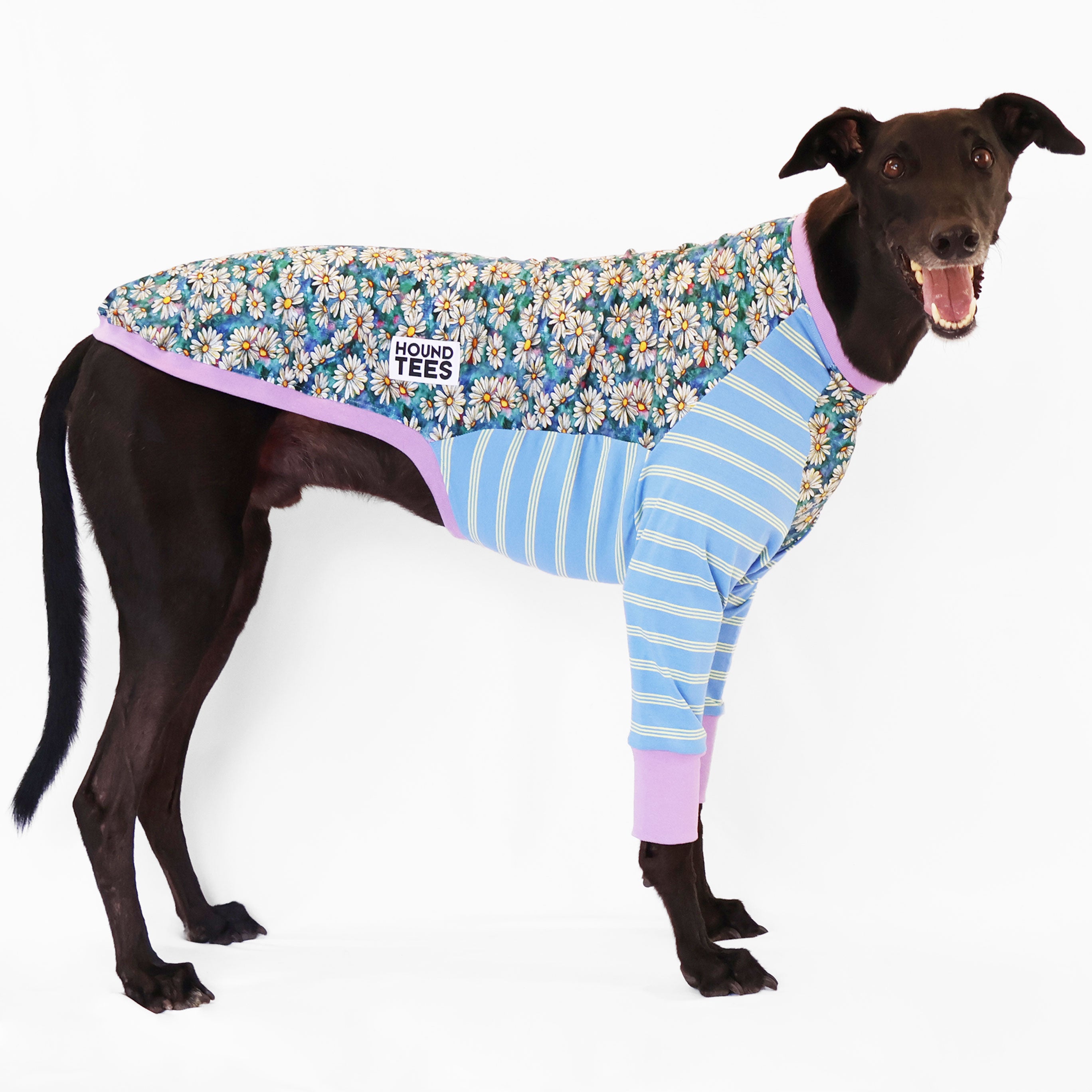 Whoopsie Daisy Greyhound Long Sleeve Hound Tee - Comfortable Dog Lover Shirt for Men & Women - Perfect for Casual Wear, Dog Walks, and Greyhound Rescue Events