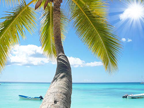 Tropical Tree N88
