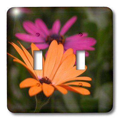 3D Rose Pink and Orange Gerber Daisies Double Toggle Switch - Decorative Wall Switch Cover for Bedroom, Kitchen, Bathroom & Home Decor