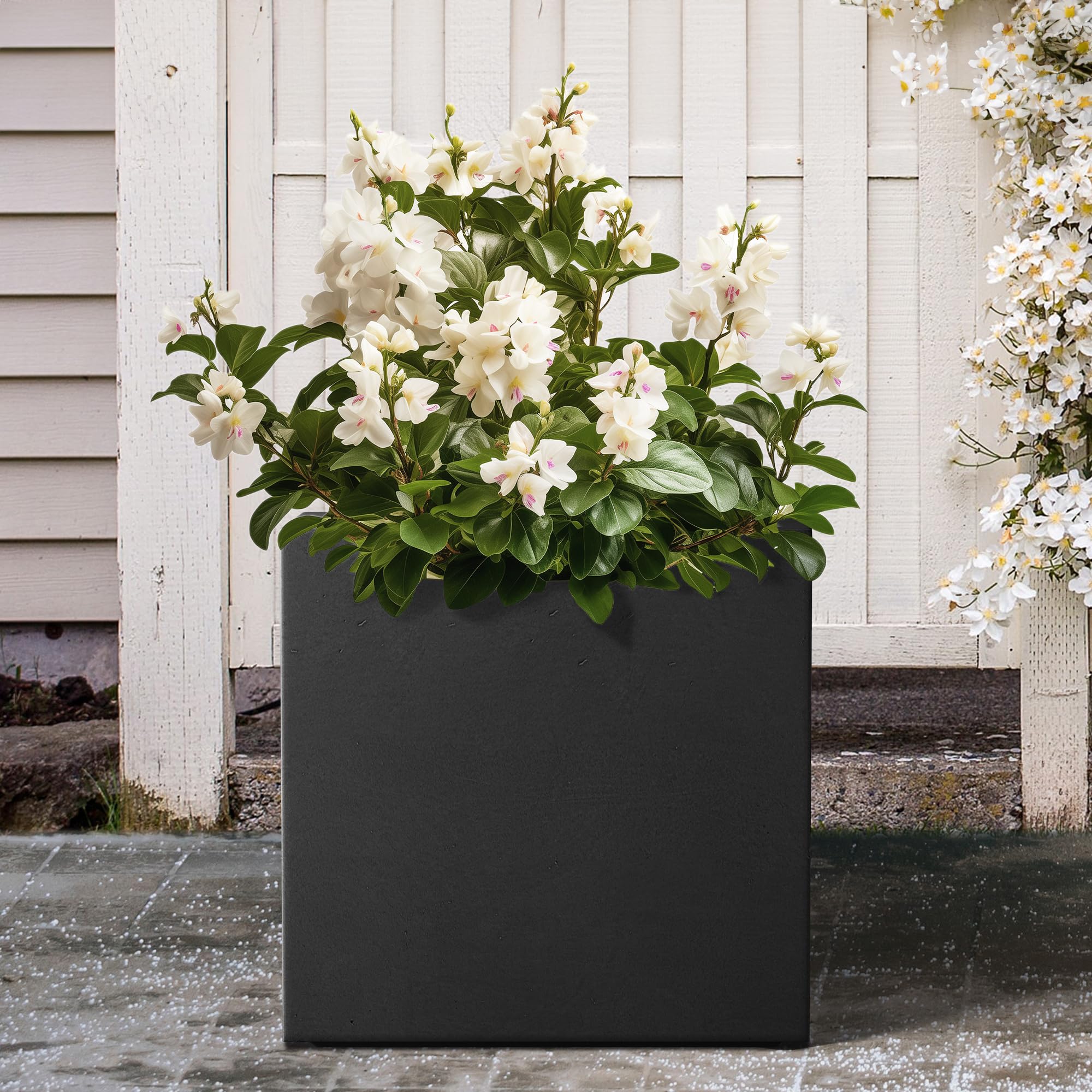 12 Inch Square Concrete Planter for Indoor & Outdoor Use - Large Modern Plant Pot with Drainage Hole & Rubber Plug - Perfect for Home, Patio, Garden, Office Decor (Black)
