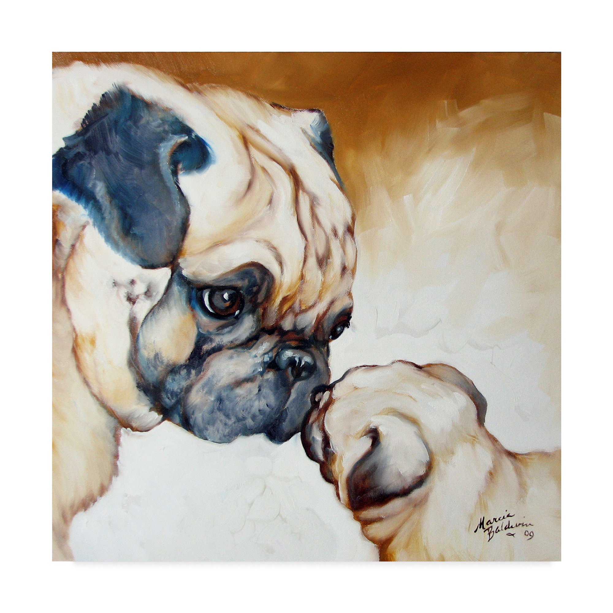 Trademark Fine Art Marcia Baldwin Multicolor Canvas Wall Art - Perfect for Living Room, Bedroom & Office Decor