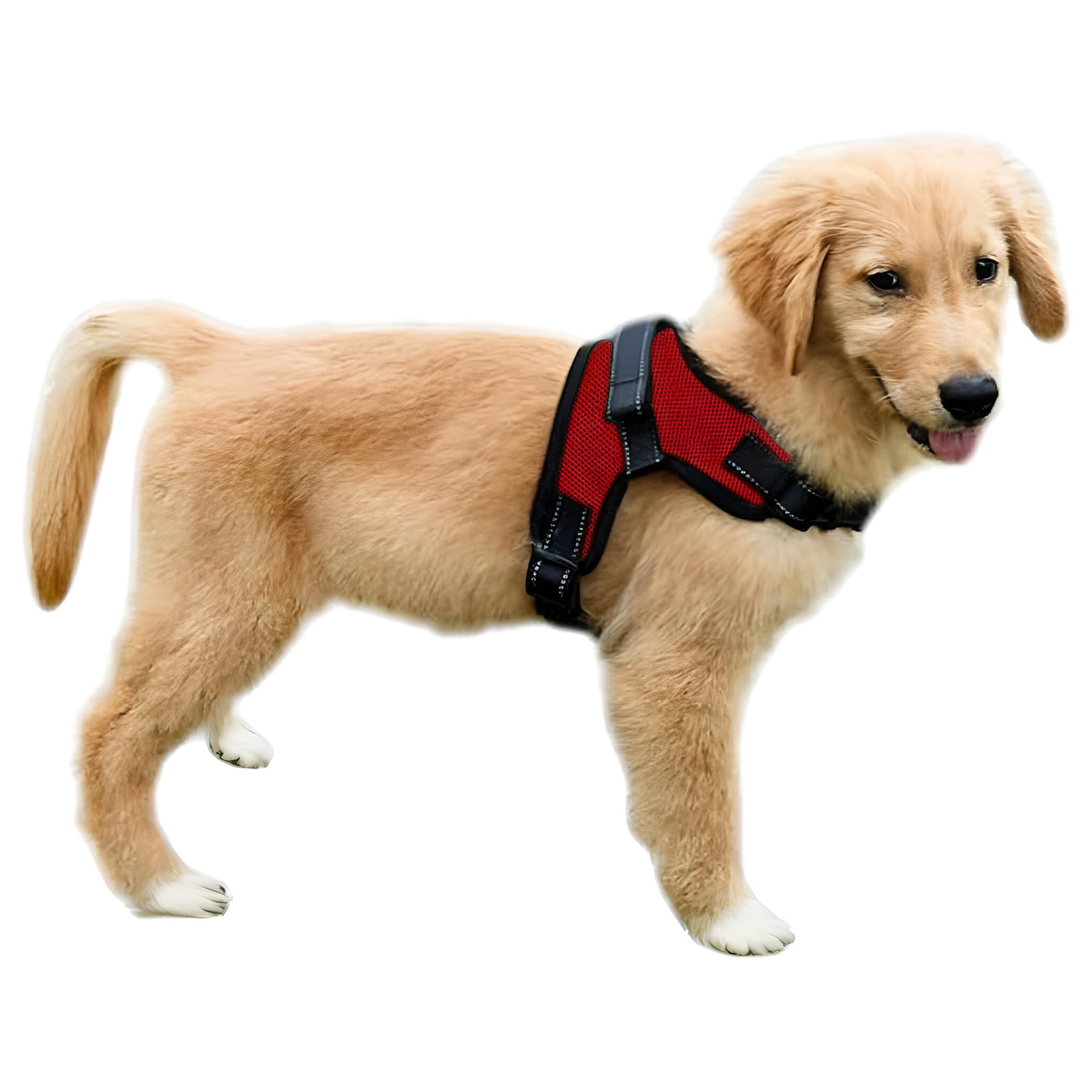 No Pull Reflective Adjustable Dog Harness with Handle - Comfortable Soft All-Weather Mesh Vest, Easy On/Off Puppy Harness for Small Medium Large Dogs (Red, X-Small) - Perfect for Night Walks, Jogging & Outdoor Adventures
