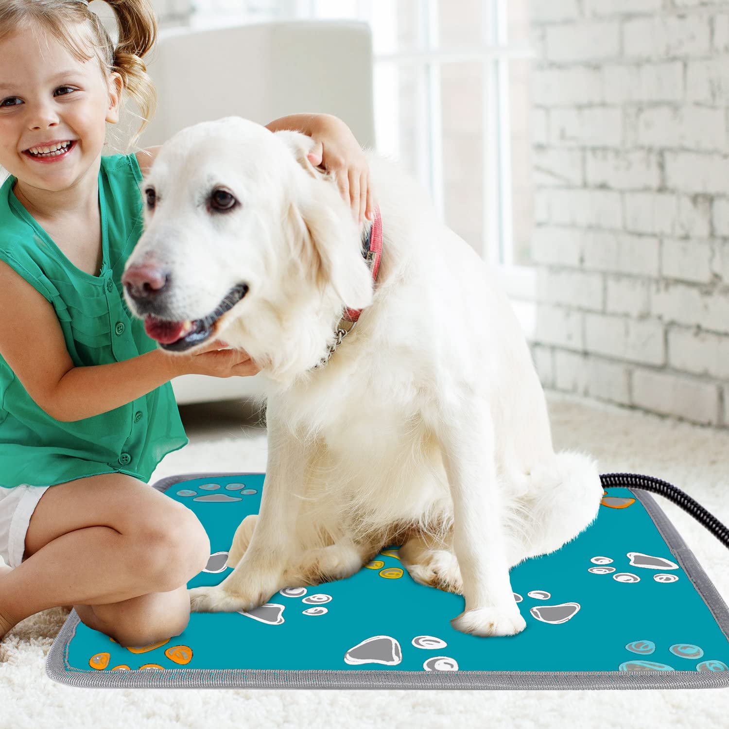 Furrybaby Waterproof Pet Heating Pad - 5-Level Adjustable Temperature & Timer, Durable Anti-Chew Tube for Dogs, Cats, Puppies - Indoor Warming Mat (24