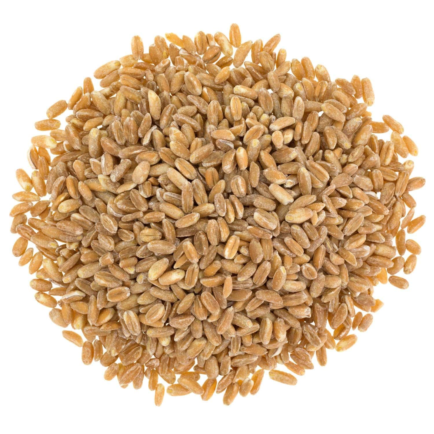 Organic Italian Pearled Farro 1.5 lb | Non-GMO, Kosher, Vegan Whole Grain | High Fiber & Protein | No Sodium or Sugar | Perfect for Salads, Soups & Healthy Meal Prep