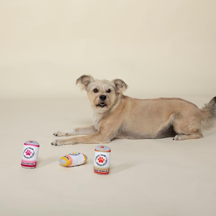 Fringe Studio Plush Dog Toy Set - Light PAW CANS 3-Piece Chew Toys for Small Dogs | Soft & Durable Puppy Toys for Teething, Playtime & Training (289557)