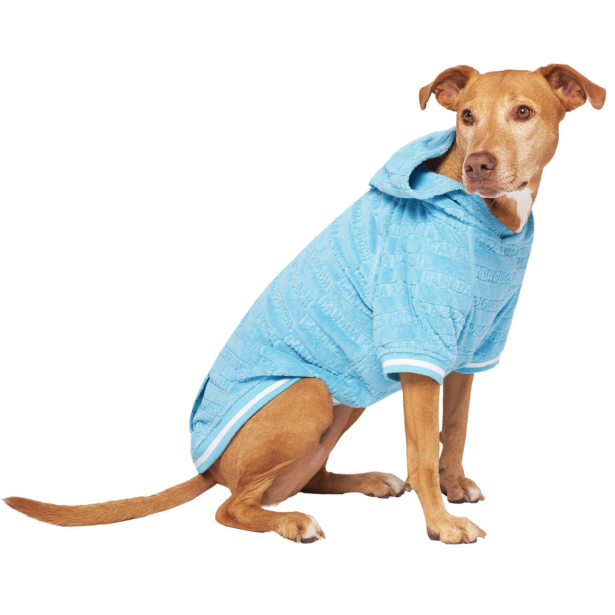 Canada Pooch Beach Bum Towel Hoodie for Dogs - Blue Dog Hooded Towel for Swimming, Bath & Outdoor Adventures - Quick Dry Pet Towel with Hood for Small Medium Large Dogs