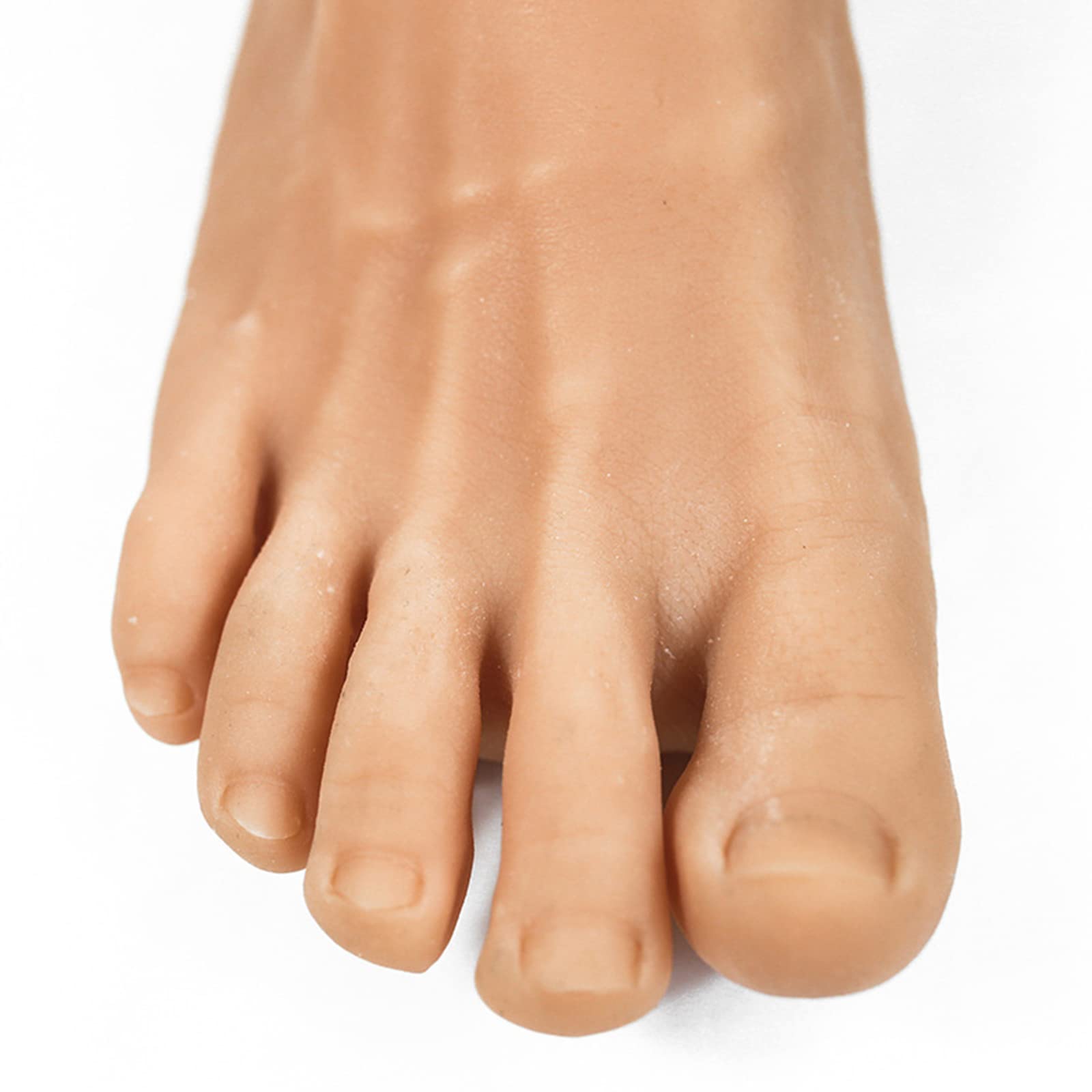 Realistic Silicone Male Foot Model - Non-Toxic Latex Odorless Mannequin for Art, Photography & Medical Training | Perfect for Foot Fetish Collectors & Anatomy Studies
